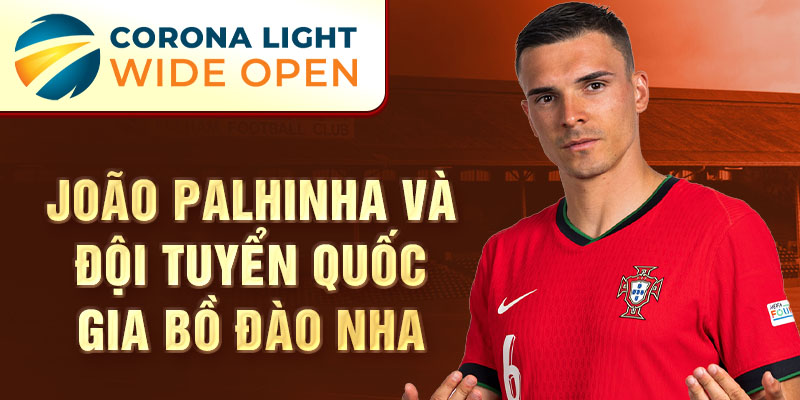 João Palhinha và đội tuyển quốc gia Bồ Đào Nha