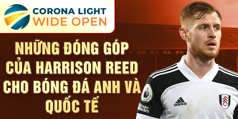 Những đóng góp của Harrison Reed cho bóng đá Anh và quốc tế