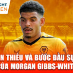 Thời niên thiếu và bước đầu sự nghiệp của morgan gibbs-white