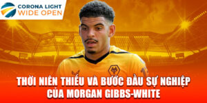 Thời niên thiếu và bước đầu sự nghiệp của morgan gibbs-white