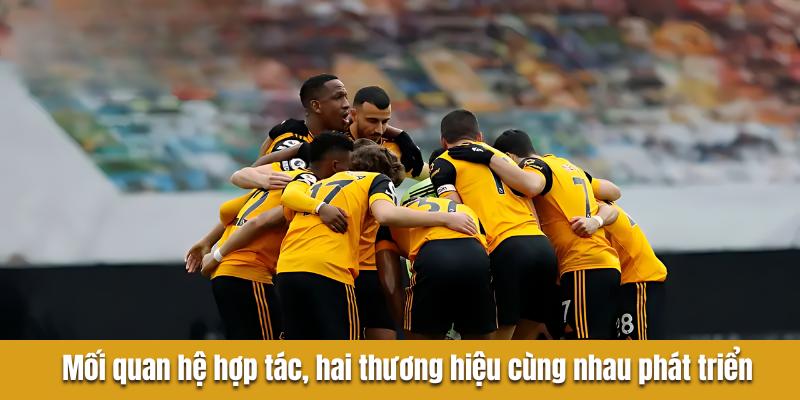 Trong mối quan hệ hợp tác, hai thương hiệu debet hợp tác wolves cùng nhau phát triển